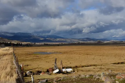 DSC_2901 (Large).JPG